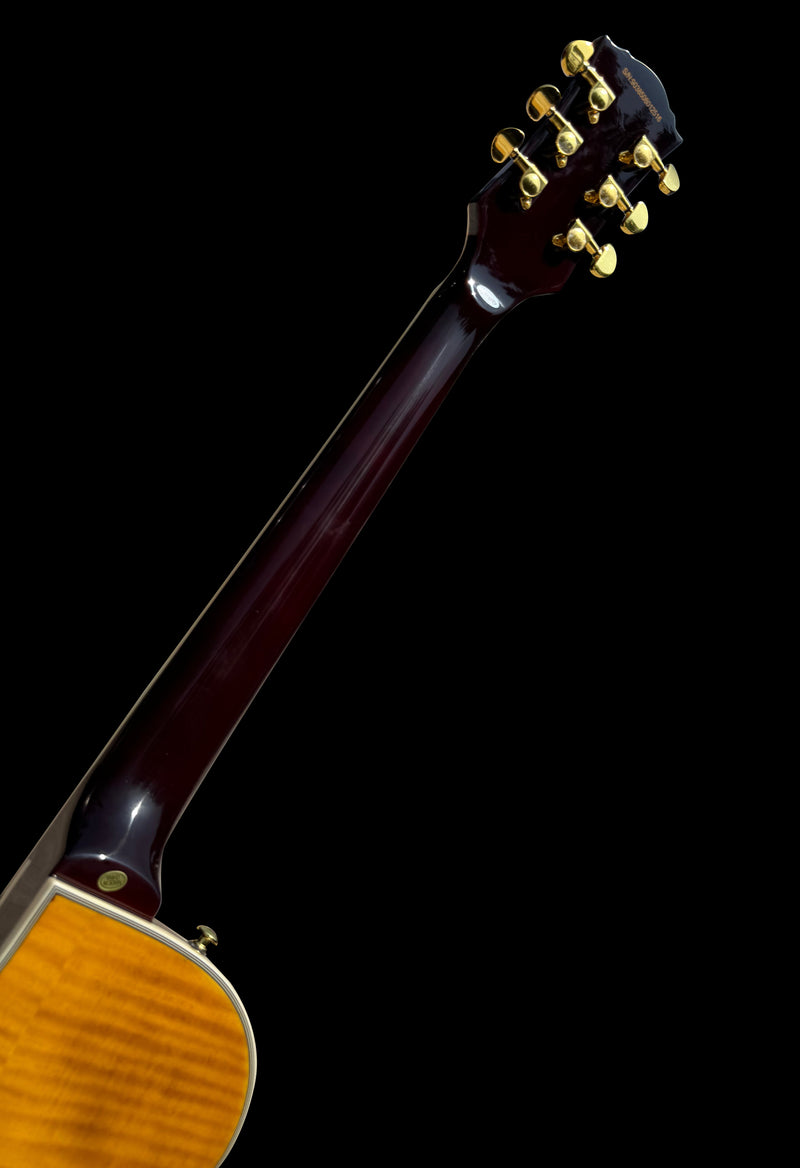 New Firefly FFSP Semi Hollow Body Electric Guitar ( Transparent