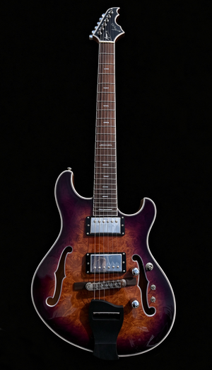 NEW Pegasus Spalted Burl ELECTRIC GUITARS (Sunburst Purple Color)