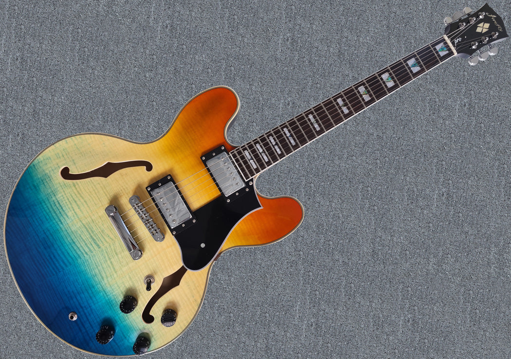 SemiHollow Body Electric Guitars GUITARS GARDEN