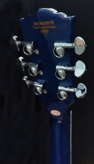 Firefly FF338PRO Full Size Semi Hollow body Electric Guitar (BlueBerry Burst Color)