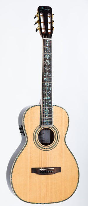Firefly New GD39-E Full Size Rosewood Back&Side Acoustic guitar
