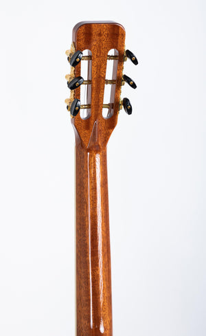 Firefly New GD39-E Full Size Rosewood Back&Side Acoustic guitar