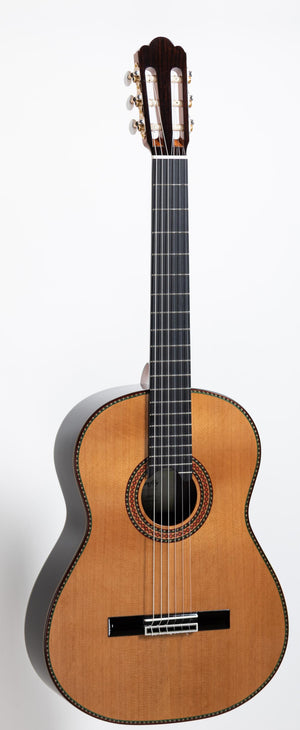 New Firefly GAC25-M Classical  Acoustic Guitar