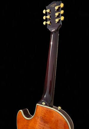 New Firefly FFSP Semi Hollow Body Electric Guitar Vintage (Brown Color)
