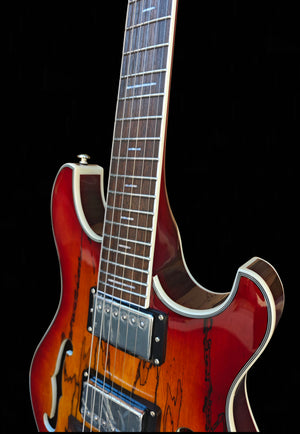 NEW Pegasus Spalted Maple ELECTRIC GUITARS (Cherry Sunburst Color)